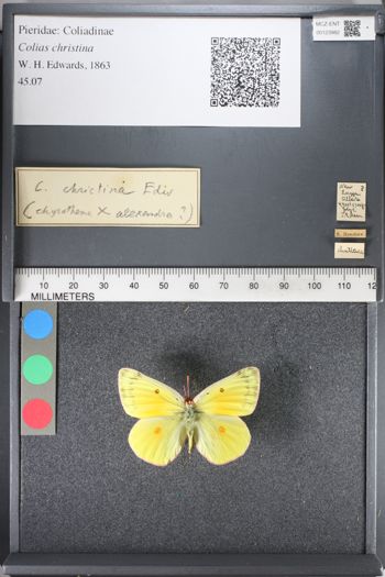 Media type: image;   Entomology 123982